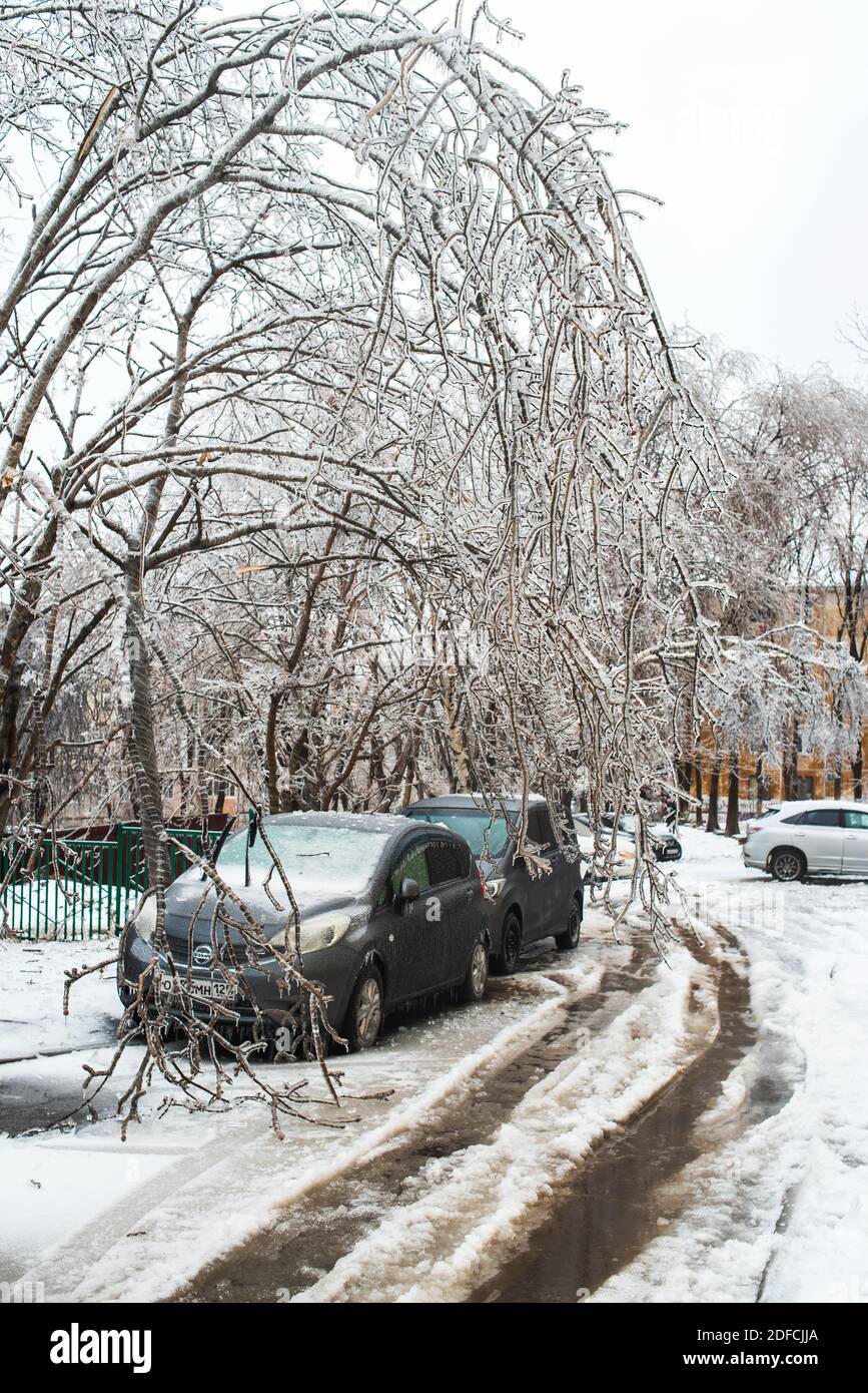 Autos mit Eis, Schnee und Eiszapfen bedeckt. Bäume, die mit Eis bedeckt sind und zu Boden gebogen sind. Winter verschneit Wetter. Eissturm Zyklonwetter. Stockfoto