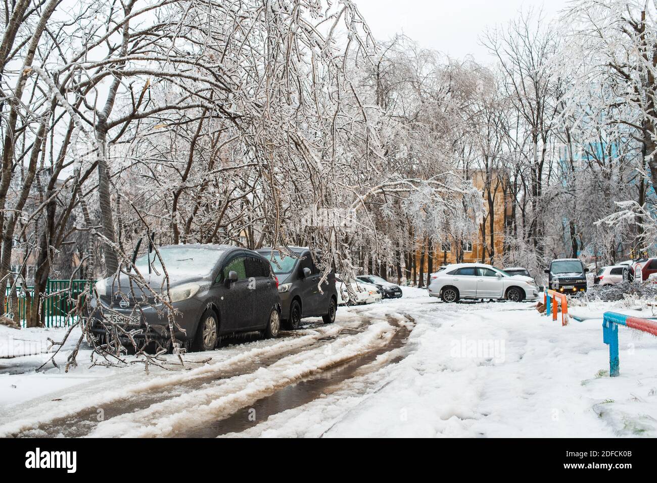 Autos mit Eis, Schnee und Eiszapfen bedeckt. Bäume, die mit Eis bedeckt sind und zu Boden gebogen sind. Eissturm, schlechtes Schneewetter. Stadt im Winter. Stockfoto