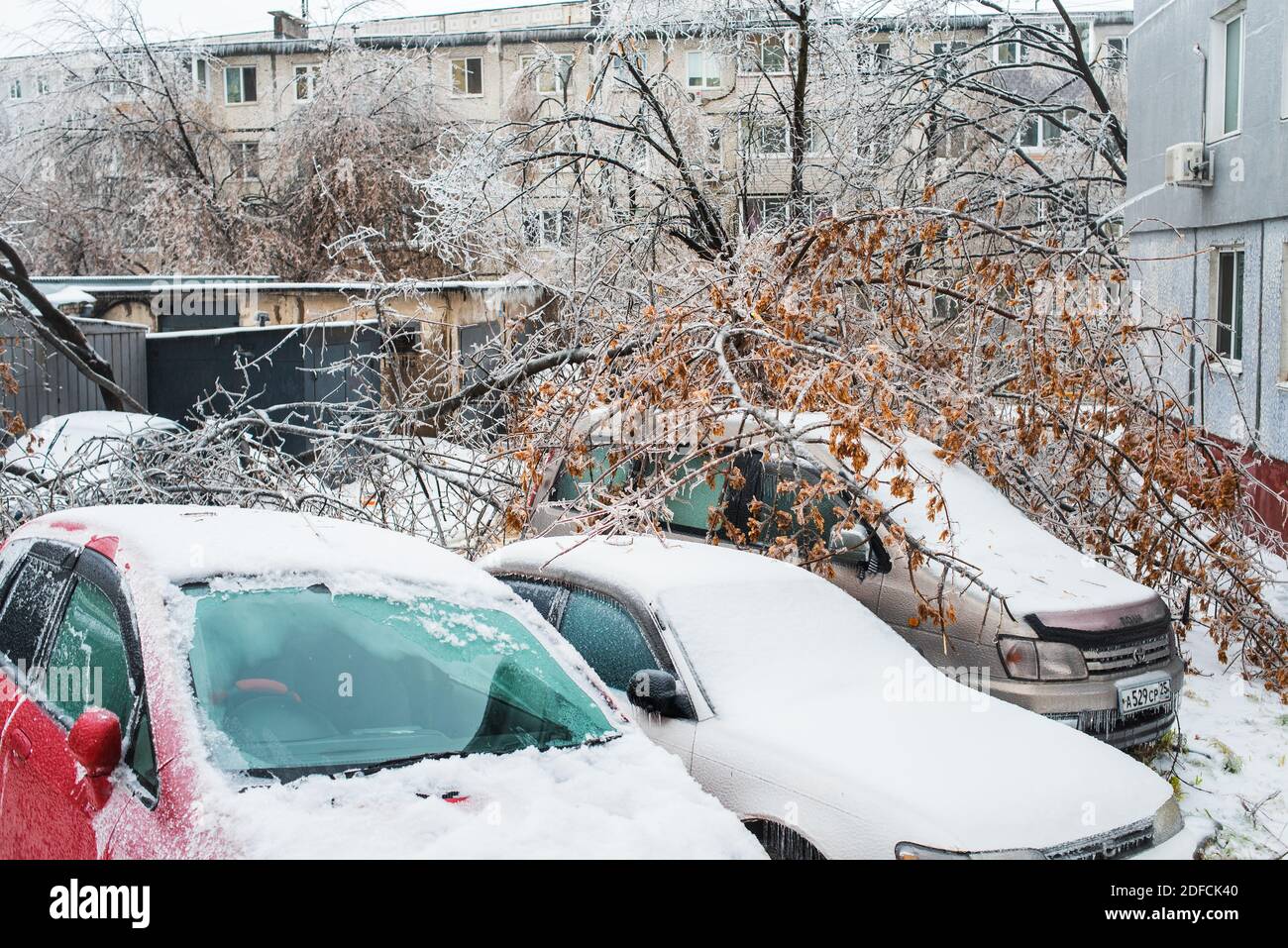 Vom Wind zerbrochene Äste von Bäumen fielen auf die Autos. Bäume, die mit Eis bedeckt sind und zu Boden gebogen sind. Stadt im Winter. Eissturmwetter. Stockfoto