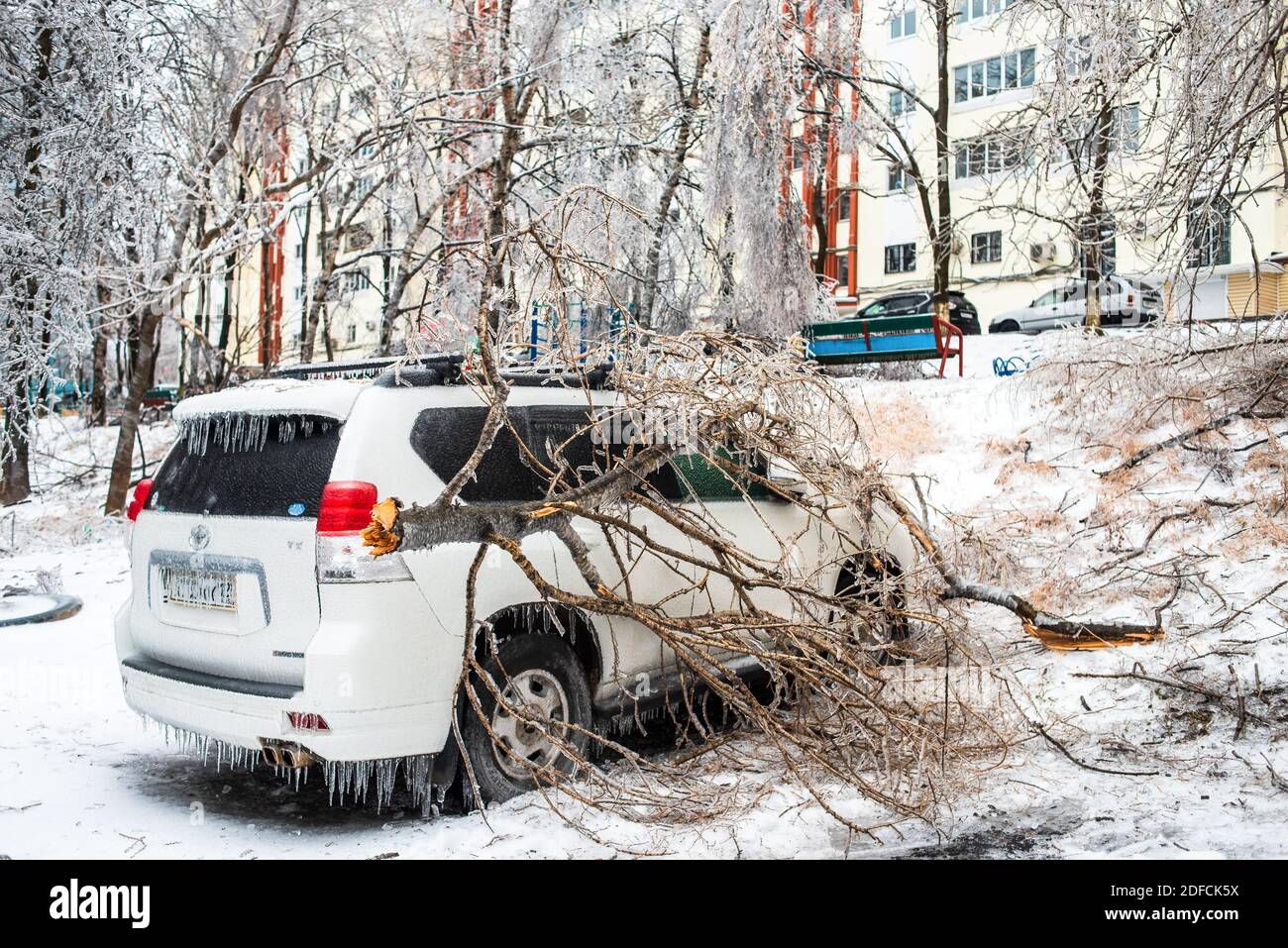 Der vom Wind gebrochene Ast fiel auf das Auto. Auto bedeckt mit Eis, Schnee und Eiszapfen. Zyklon und Eissturm. Winterverschneite Szenen. Stockfoto