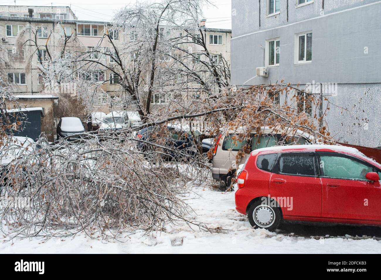 Bäume mit Eis bedeckt, die über Autos gebeugt sind. Vom Wind zerbrochene Äste von Bäumen fielen auf die Autos. Stadt im Winter. Eissturmzyklon. Stockfoto