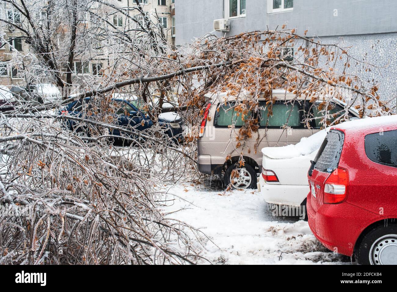 Vom Wind zerbrochene Äste von Bäumen fielen auf die Autos. Bäume bedeckt mit Eis über dem Boden gebogen. Eissturmzyklon. Frostiges Wetter. Stockfoto