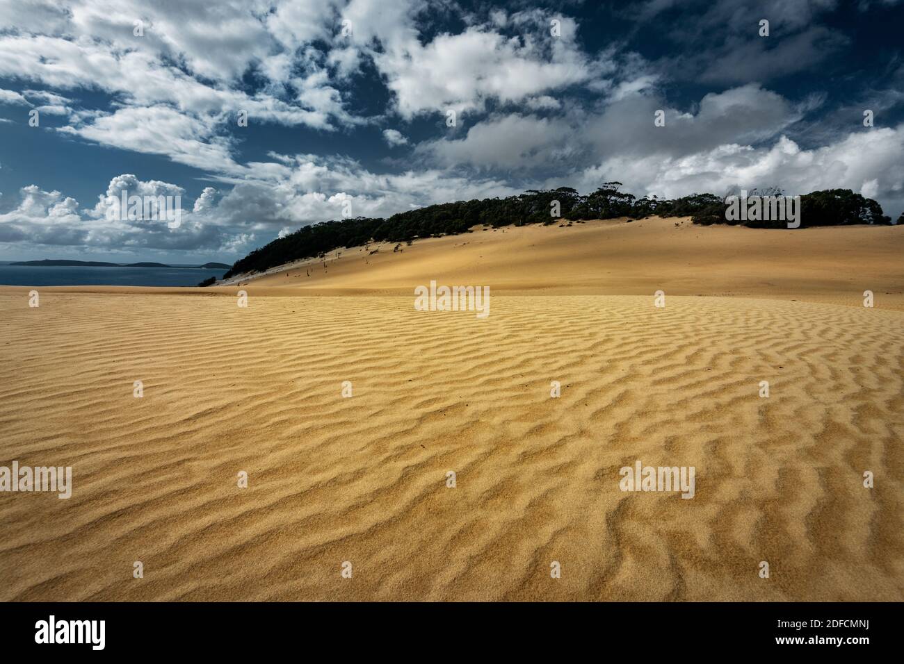 Berühmte Carlo Sandblow im Cooloola Nationalpark. Stockfoto