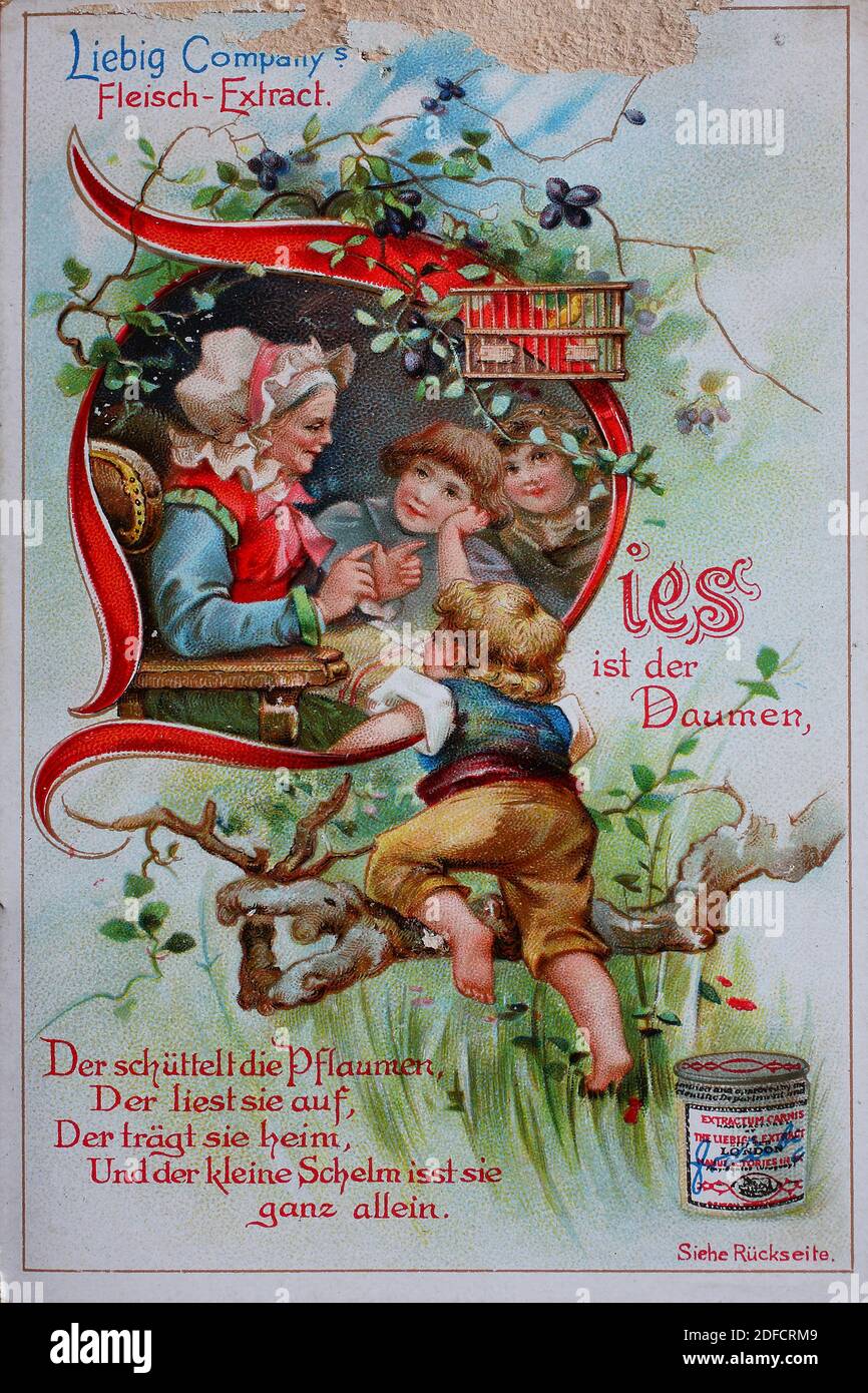 Der Daumen Der Pflückt Die Pflaumen Der daumen -Fotos und -Bildmaterial in hoher Auflösung – Alamy