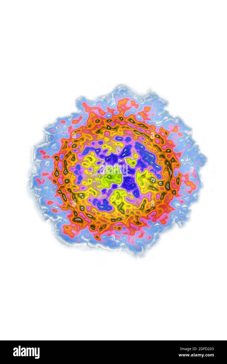 Coronavirus Stockfoto