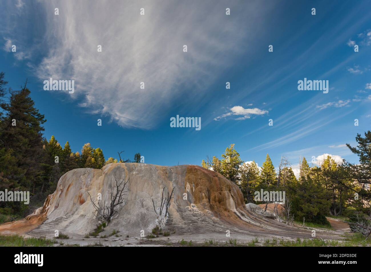 Bunte Mammoth Hot Spring Terrassen Landschaft im Yellowstone National Park, Wyoming, Vereinigte Staaten von Amerika Stockfoto