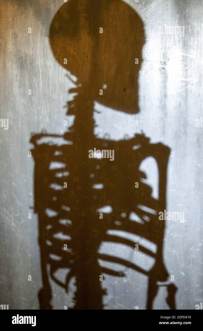 Schatten eines menschlichen Skeletts Stockfoto