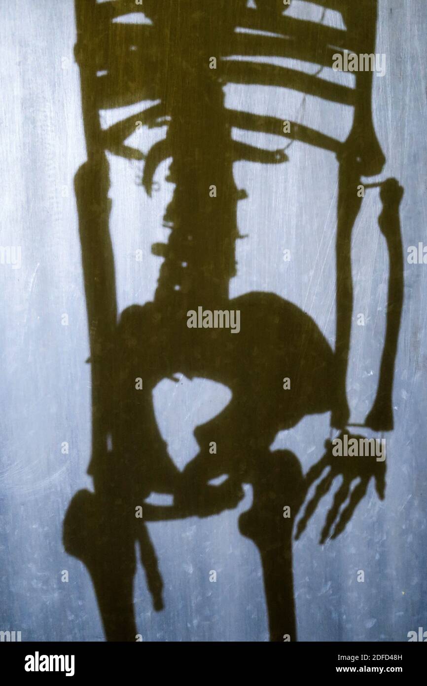 Schatten eines menschlichen Skeletts Stockfoto