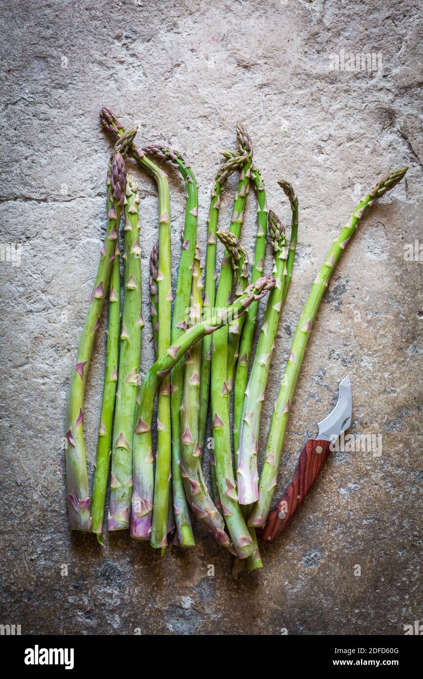 Grüner Spargel (Spargel officinalis). Stockfoto