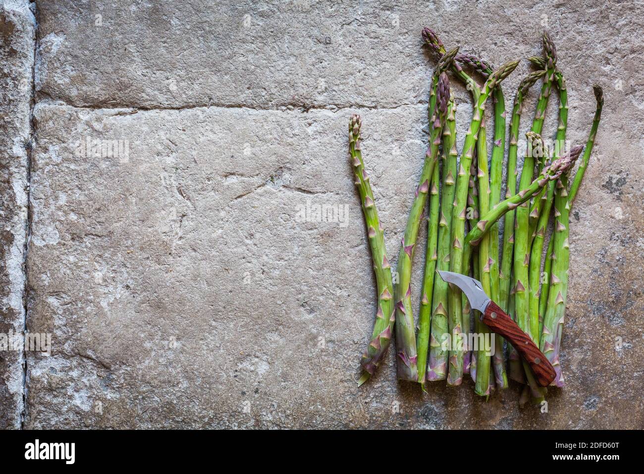 Grüner Spargel (Spargel officinalis). Stockfoto