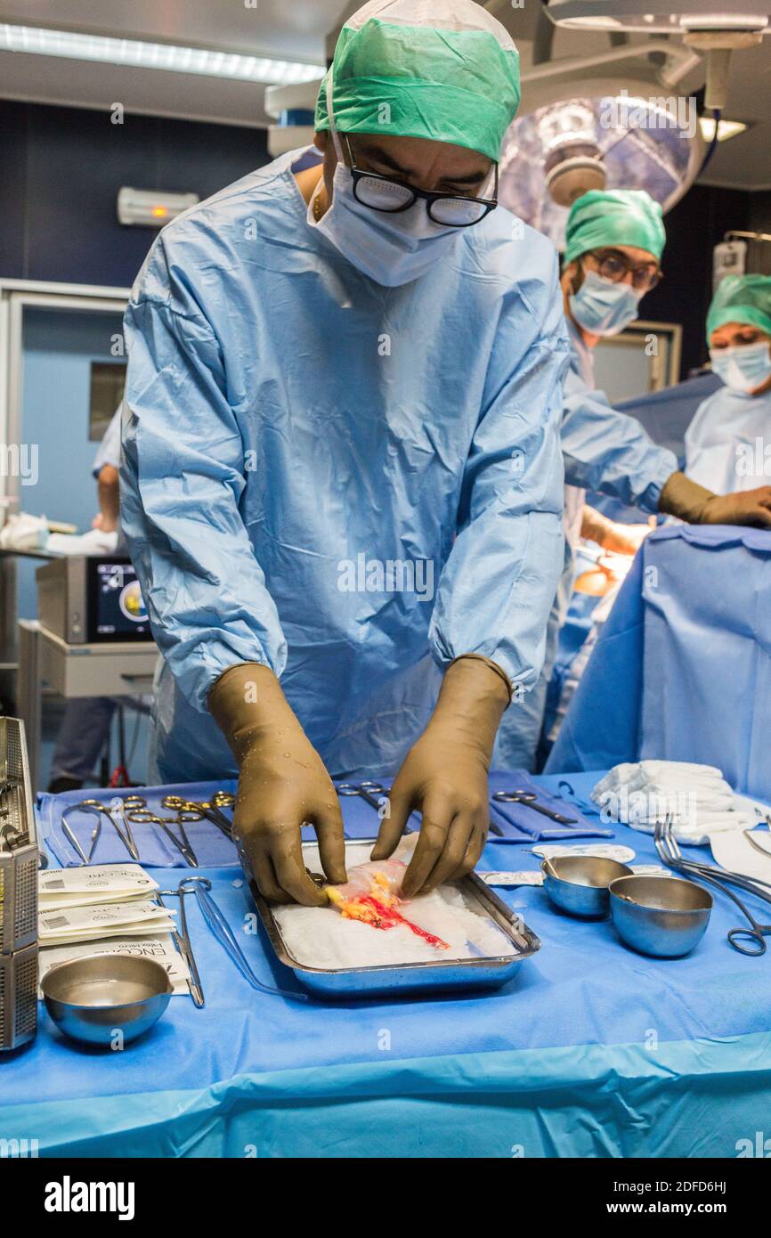 Nierentransplantation, Krankenschwester, Bordeaux Krankenhaus, Frankreich. Stockfoto
