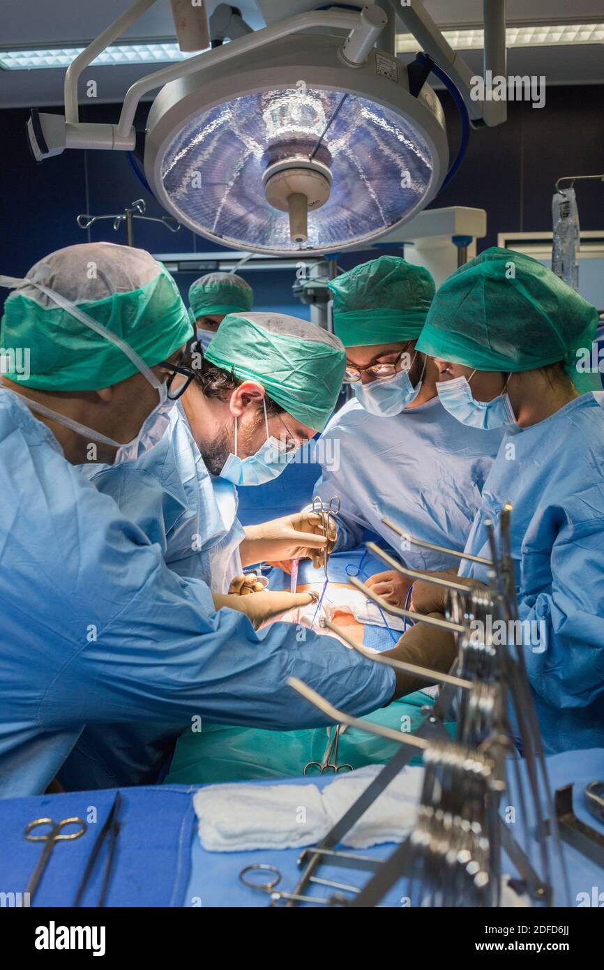 Transplantation einer Niere von einem verwandten lebenden Spender, Bordeaux Krankenhaus, Frankreich. Stockfoto