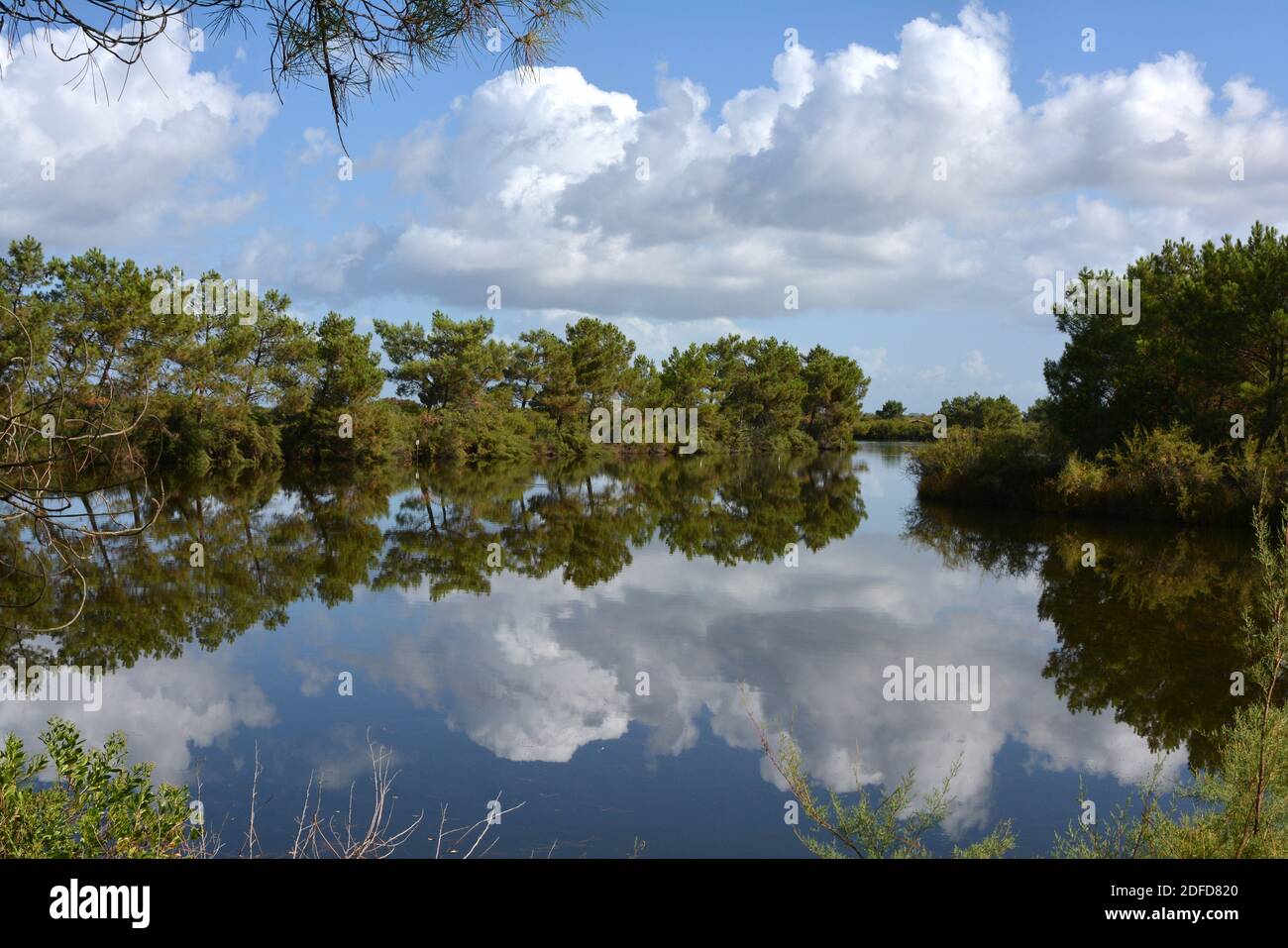 Frankreich, Aquitaine, Le Teich, ein Meerteich in der Bucht von Arcachon mit herrlichen Reflexen der Wolken und der Bäume im Wasser. Stockfoto