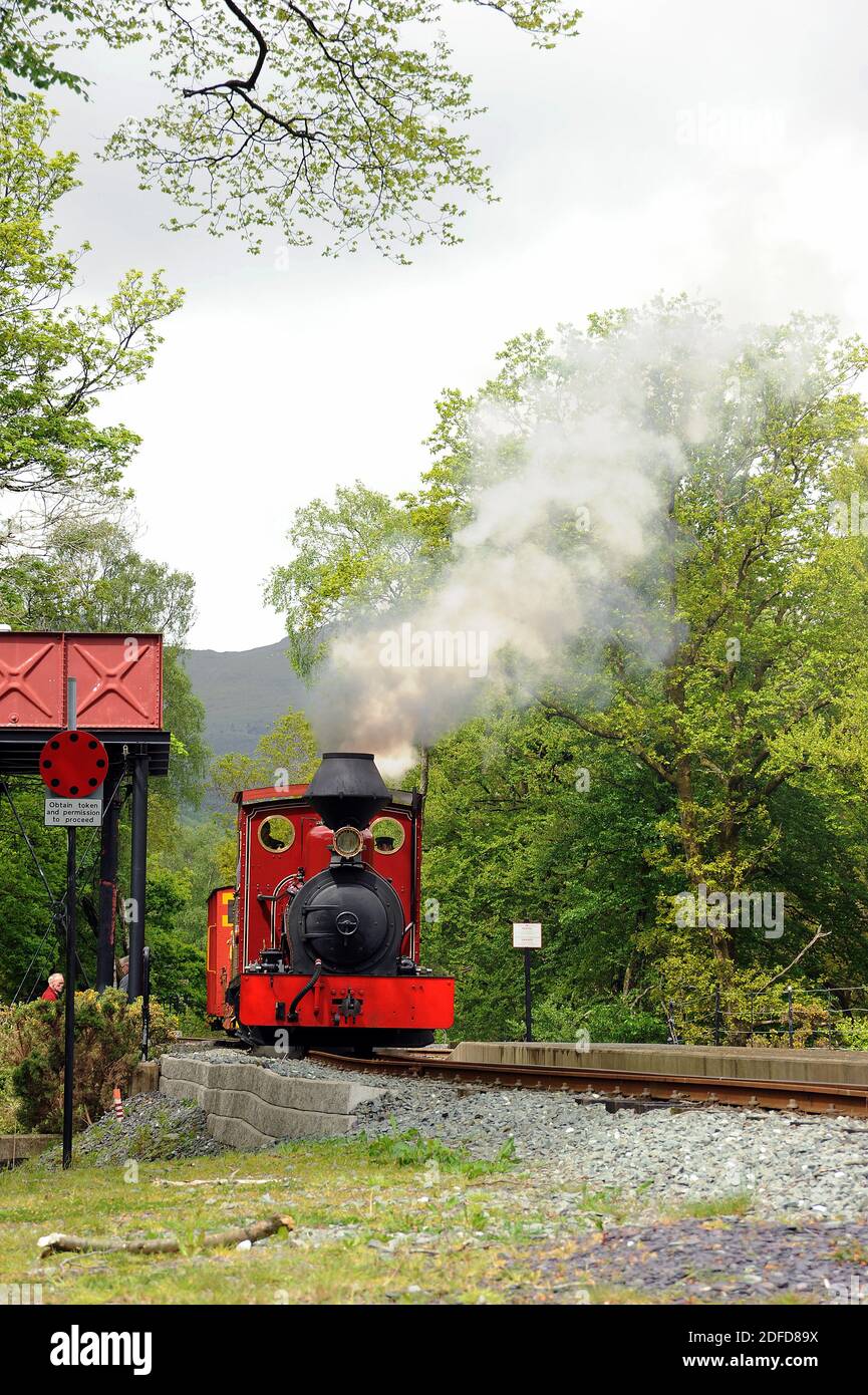 'Fiji' bei Beddgelert. Stockfoto