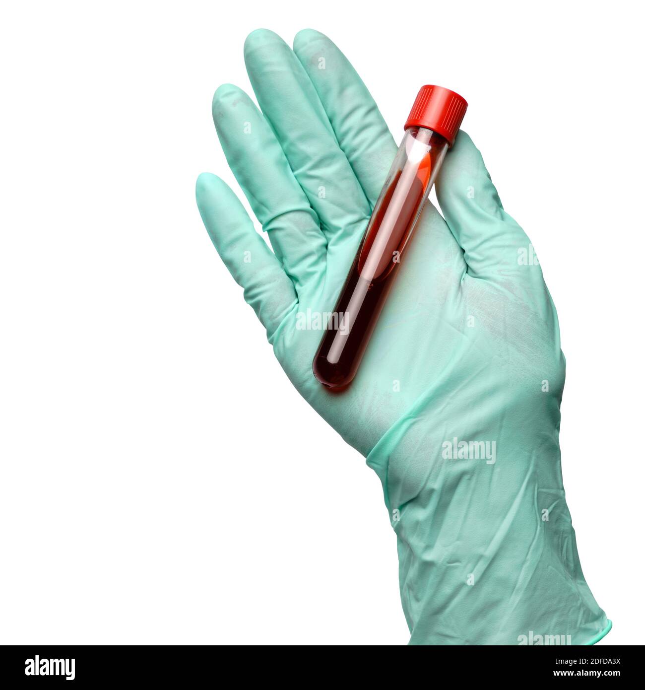 Hand in Latexhandschuh, der die Blutprobe im Reagenzglas hält Nahaufnahme isoliert auf weißem Hintergrund Stockfoto