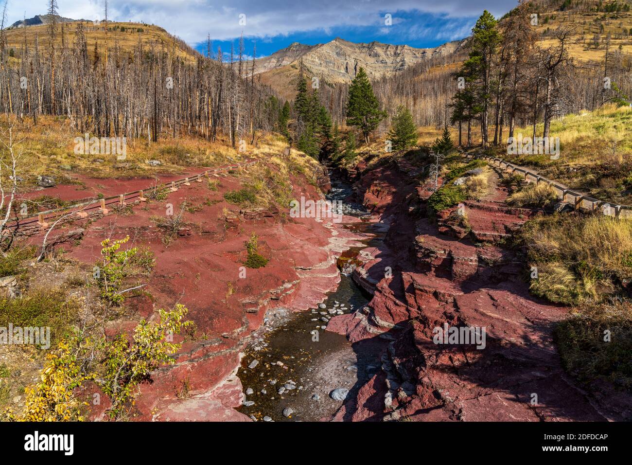 Red Rock Canyon im Herbst Laubsaison Morgen. Blauer Himmel, weiße Wolken und Berge im Hintergrund. Waterton Lakes National Park, Alberta, Kanada Stockfoto