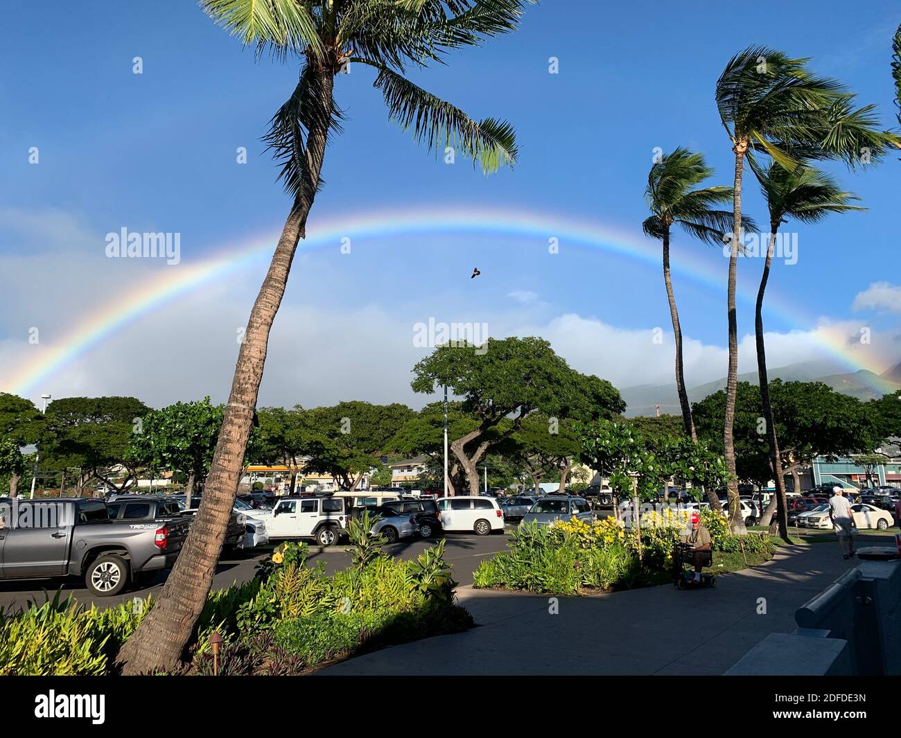 Atemberaubender Regenbogen über einem Parkplatz auf Maui Stockfoto