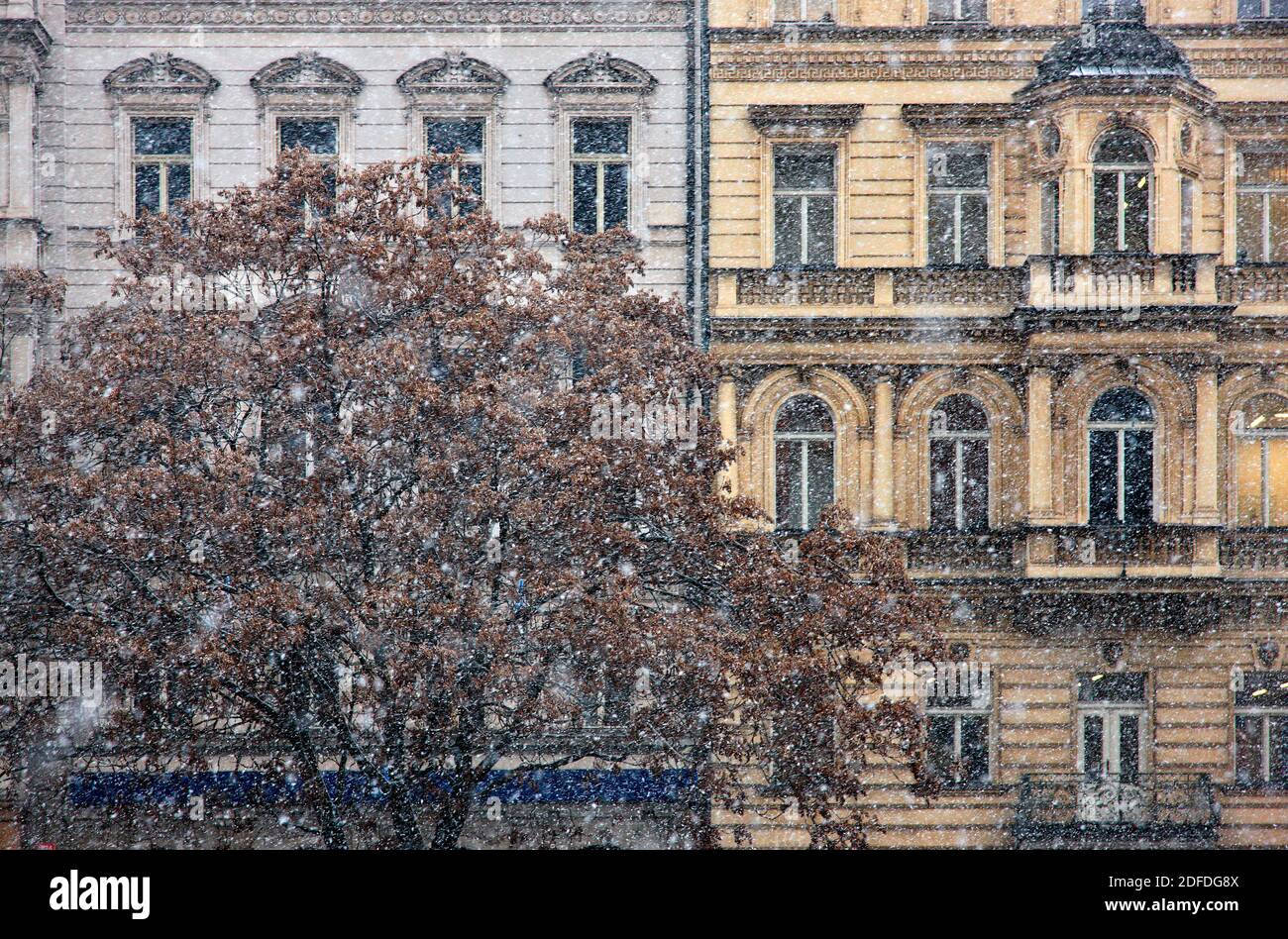 Schneefall in Prag, Tschechische Republik Stockfoto