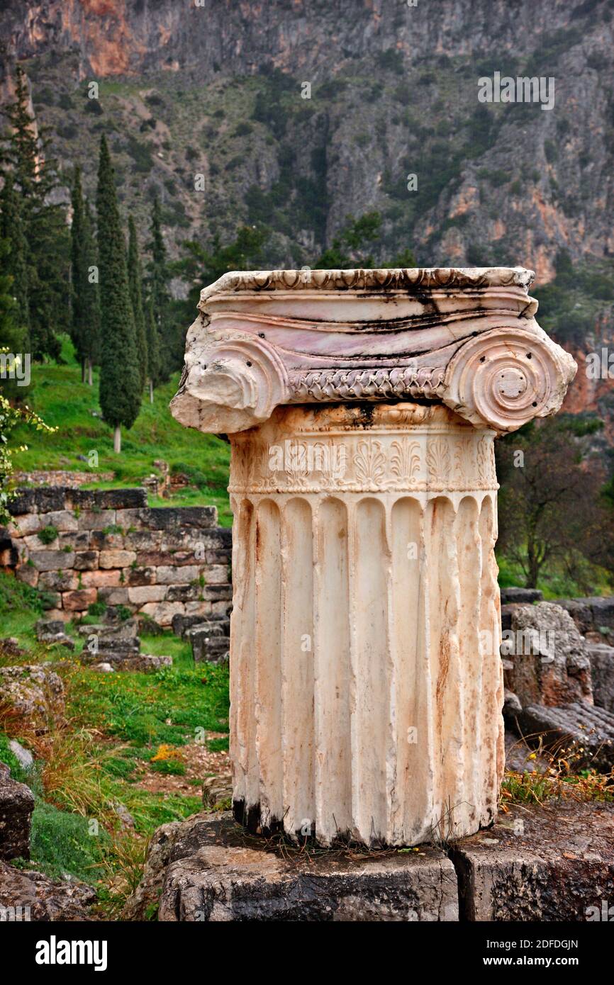 Antike Säule (Ionin-Ordnung) an der archäologischen Stätte von Delphi, Fokida, Zentral, Griechenland. Stockfoto