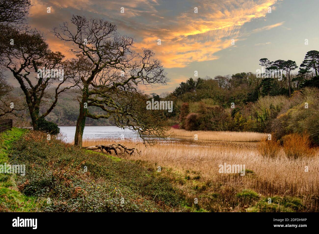 Penrose ist eine Mischung aus reichen Ackerland und Wald rund um Cornwalls größten natürlichen See, Loe Pool.Loe Bar Penrose ornwall Stockfoto