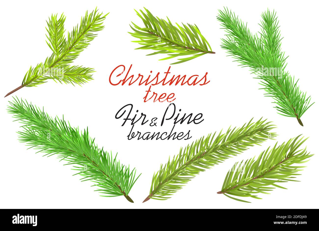 Weihnachtsbaum Tanne und Kiefer Zweige isoliert auf weiß einfach zu bedienen für Rahmen, Bordüren, Grußkarten Poster, Web-Seite Designs in realistisch oder retro Stock Vektor