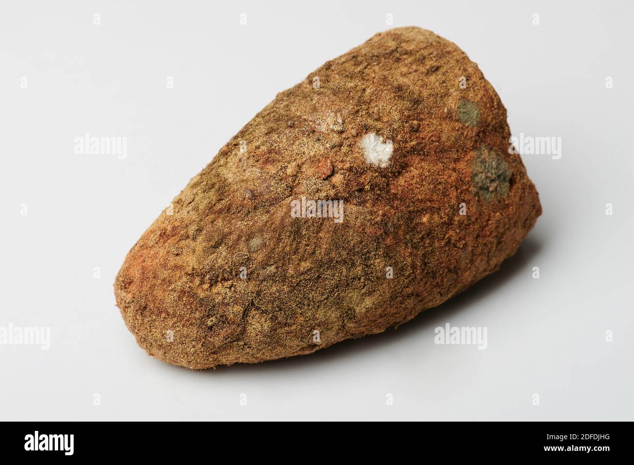 Braun schimmeliges Stück Brot isoliert auf weißem Hintergrund Stockfoto