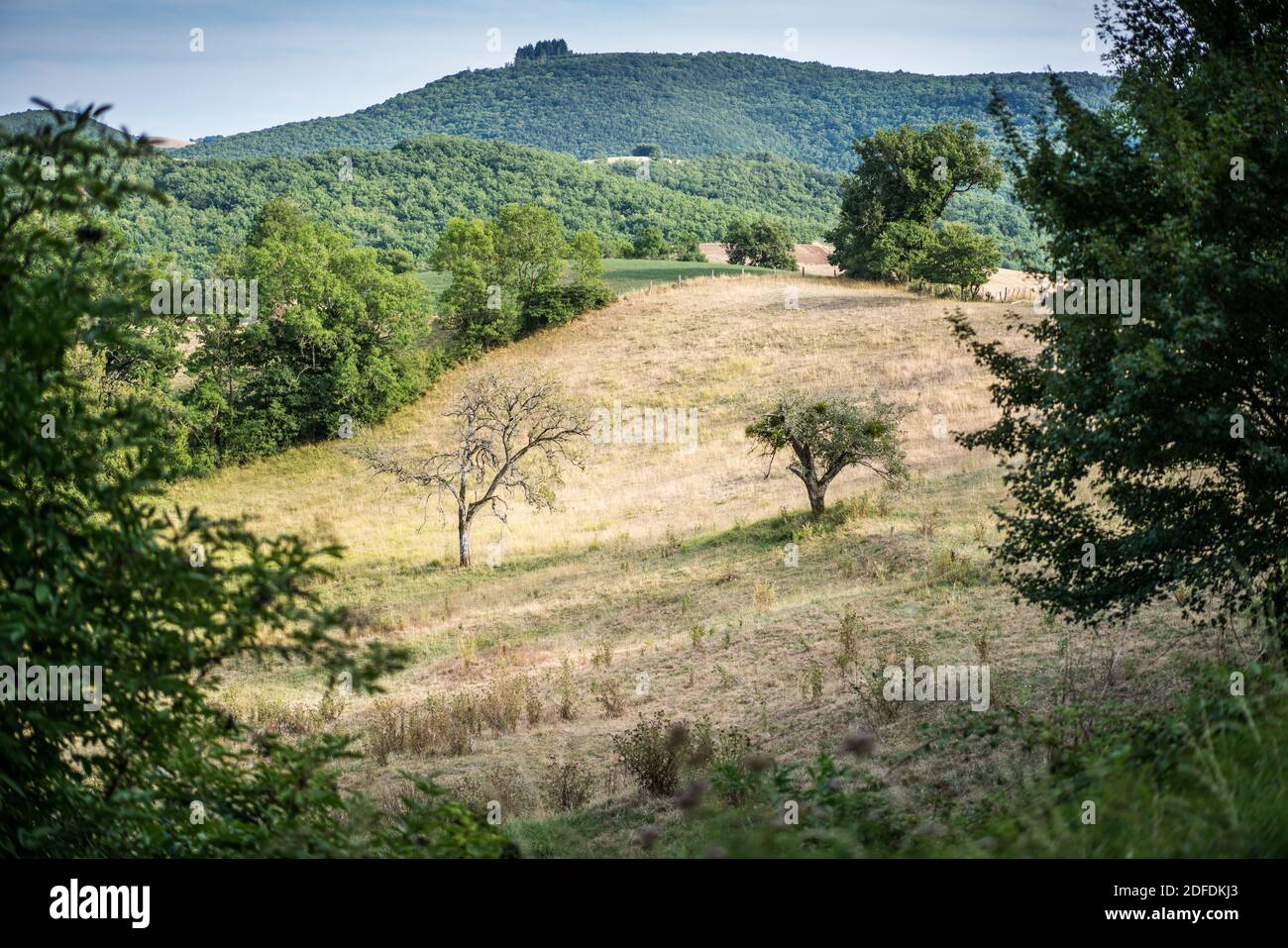 Landschaft in der Nähe des Roquefort-sur-Soulzon, Frankreich, Europa. Stockfoto