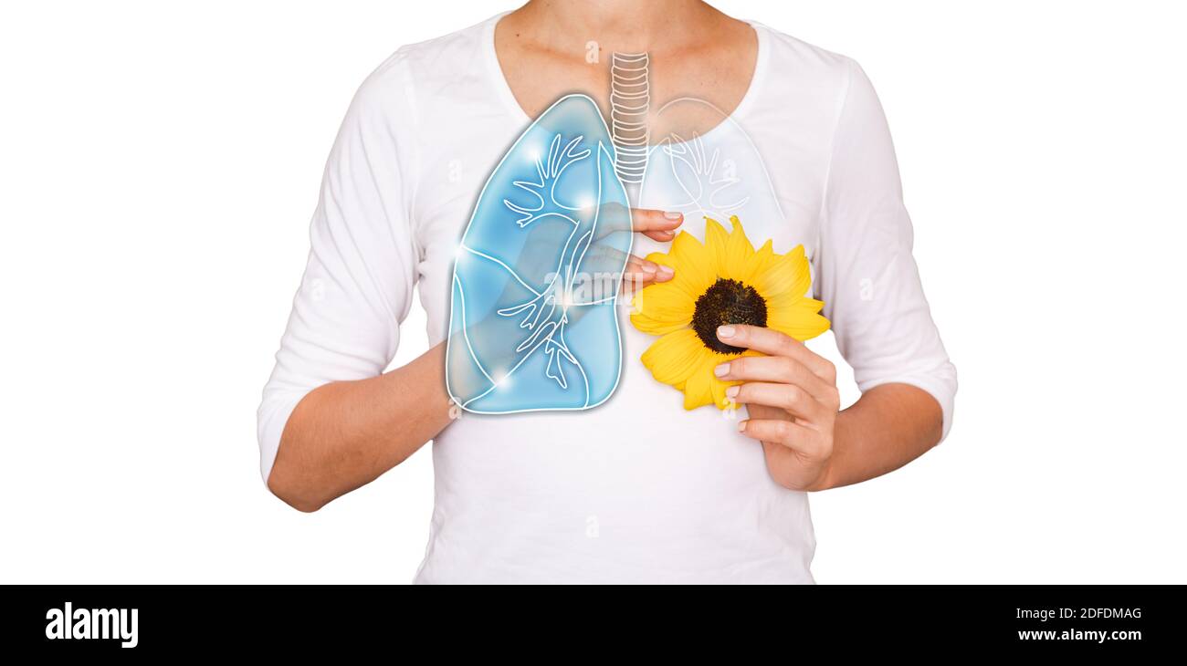 Lungengesundheitskonzept. Hologramm der gesunden Lunge im weiblichen Körper Stockfoto