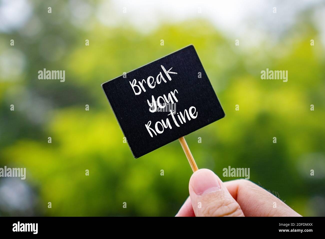 Motivierendes und inspirierendes Zitat. Brechen Sie Ihre Routine. Hand Halten Stick Blackboard Gegen Grüne Natur. Stockfoto