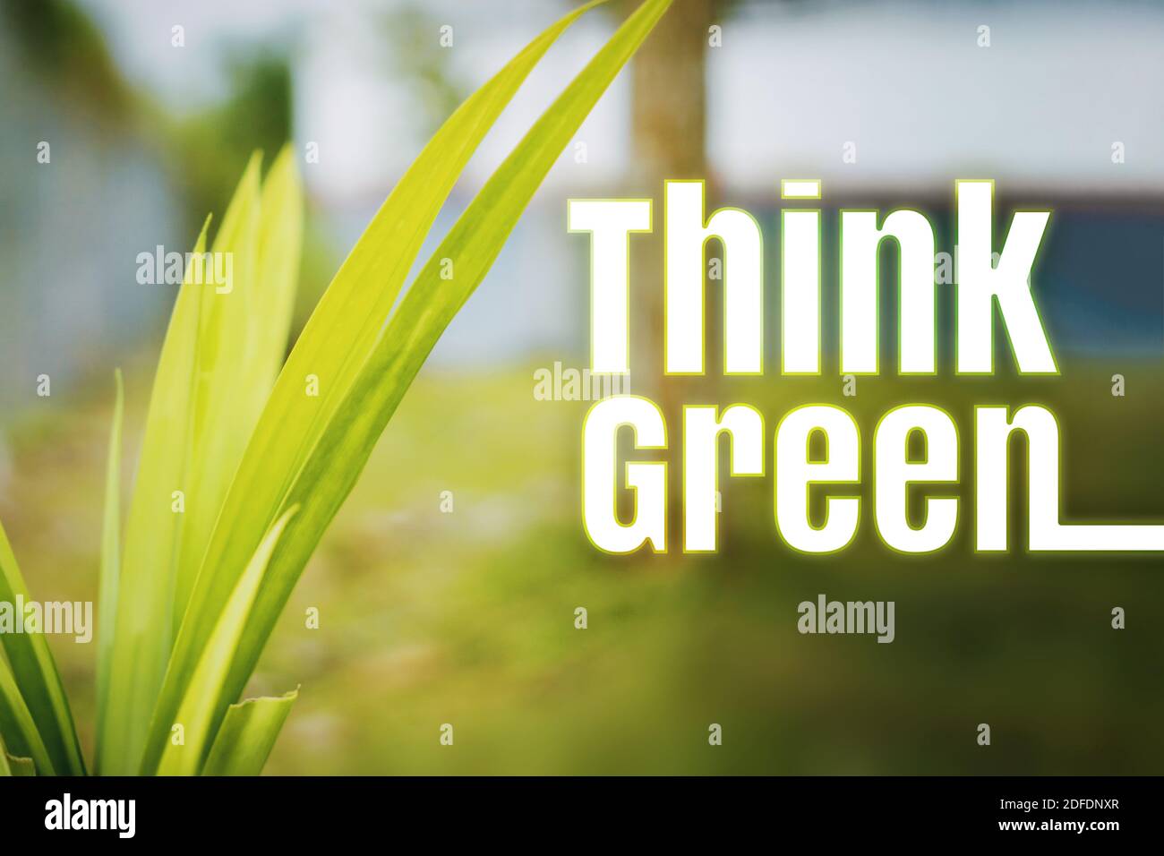 Denken Sie Grün. Umweltfreundliche Umweltkonzepte. Grüne Blätter Vor Verschwommenem Hintergrund. Stockfoto