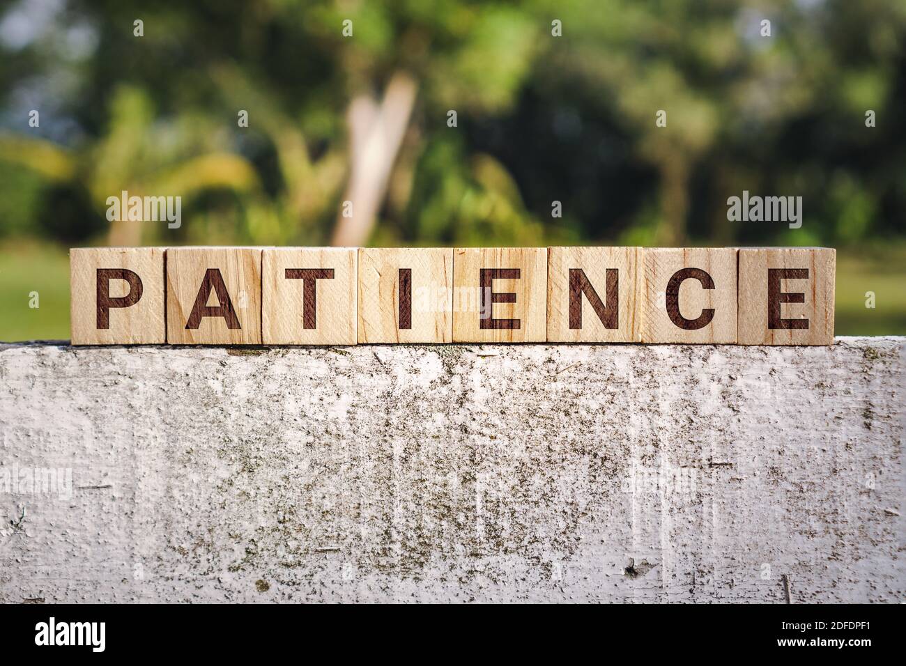 Holzblock Mit Dem Wort Geduld Stockfoto