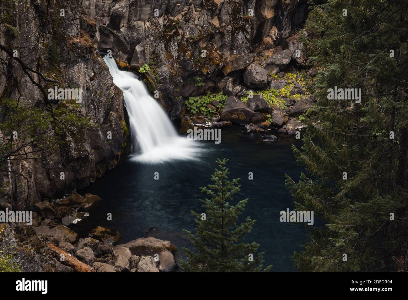 Upper McCloud Falls, wie von der Spur oben gesehen Stockfoto