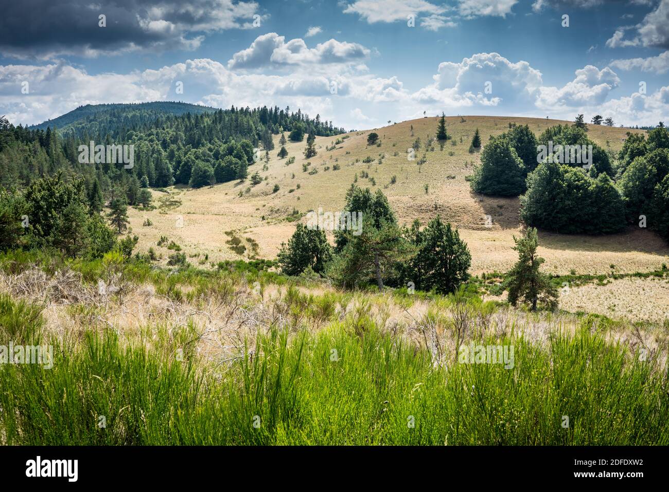 Nationalpark von Cevennes, Frankreich, Europa Stockfoto