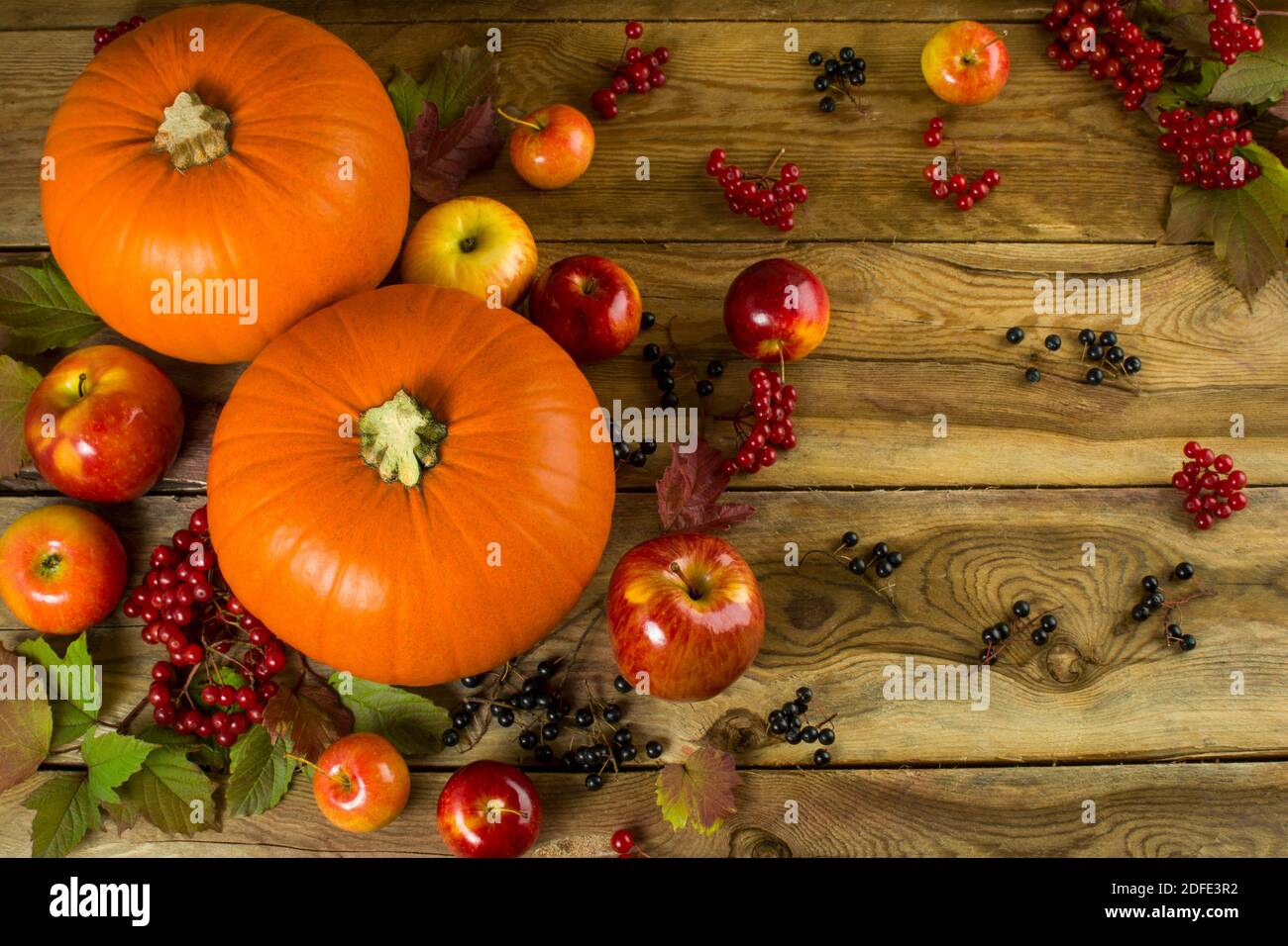 Herbst, reife Kürbisse, Äpfel, Beeren und Blätter auf Holzgrund. Selektiver Fokus. Die Tonung Stockfoto