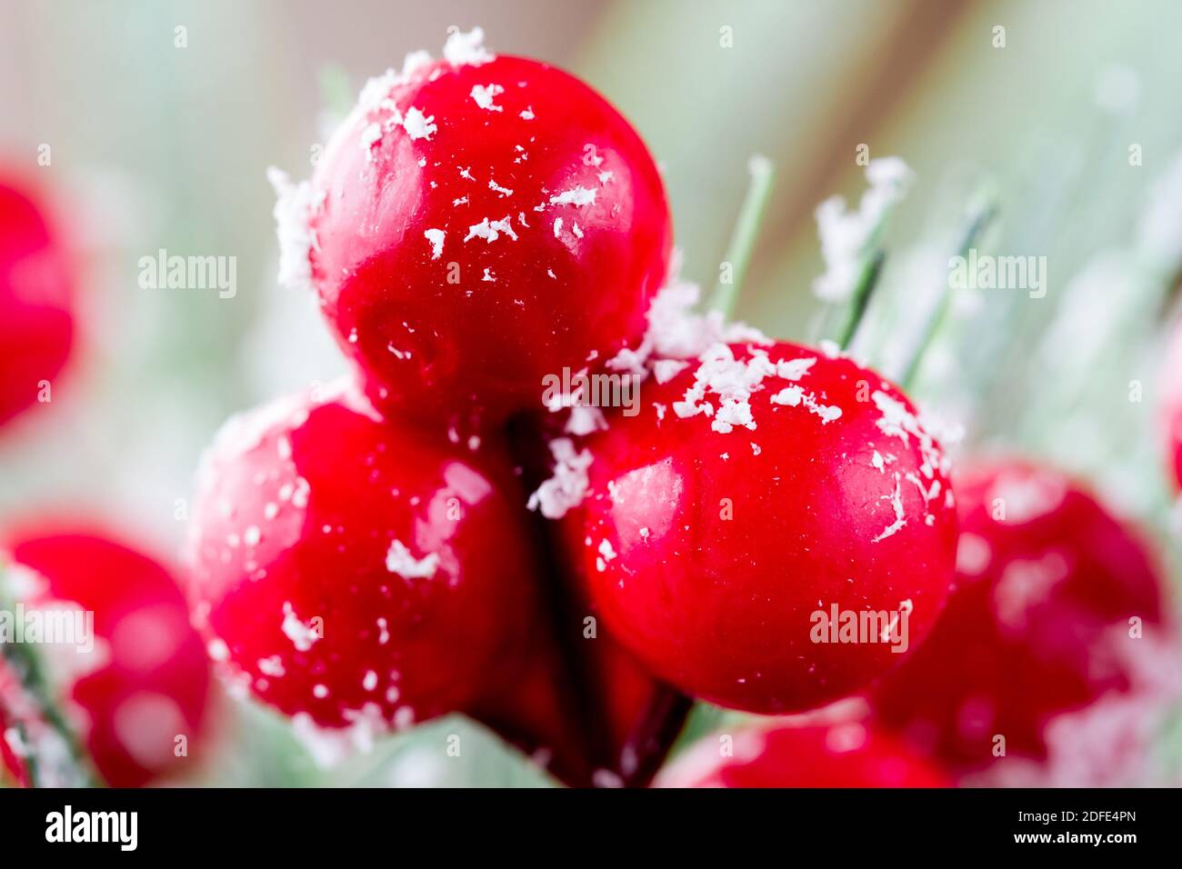Nahaufnahme von einigen roten beerenweihnachtsdekorationen Stockfoto