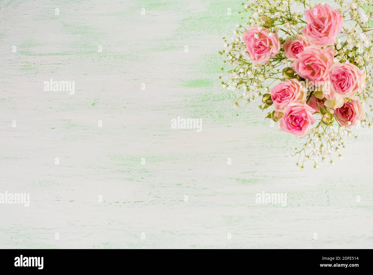 Rosa Rosen auf hellgrünem Hintergrund. Blumen Grußkarte mit Platz für Text. Stockfoto