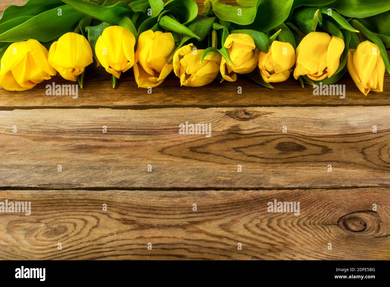 Gelbe Tulpen auf Holzhintergrund kopieren Raum. Frühlingsblumen. Blumenpostkarte. Blumengrüße Stockfoto