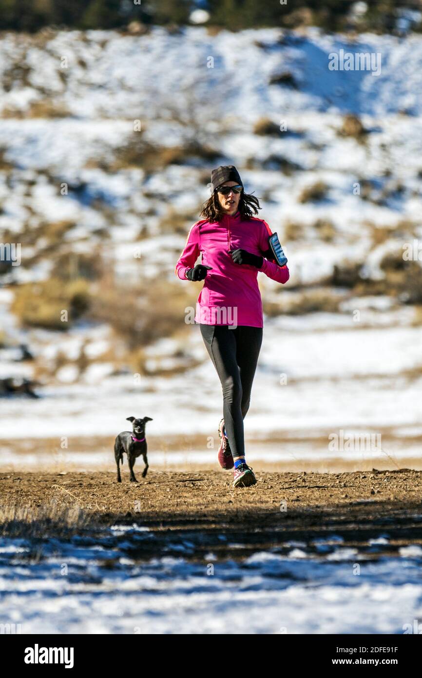 Frauen-Trail mit kleinem Haustier Hund an klaren Wintertag; Vandaveer Ranch; in der Nähe von Salida; Colorado; USA Stockfoto