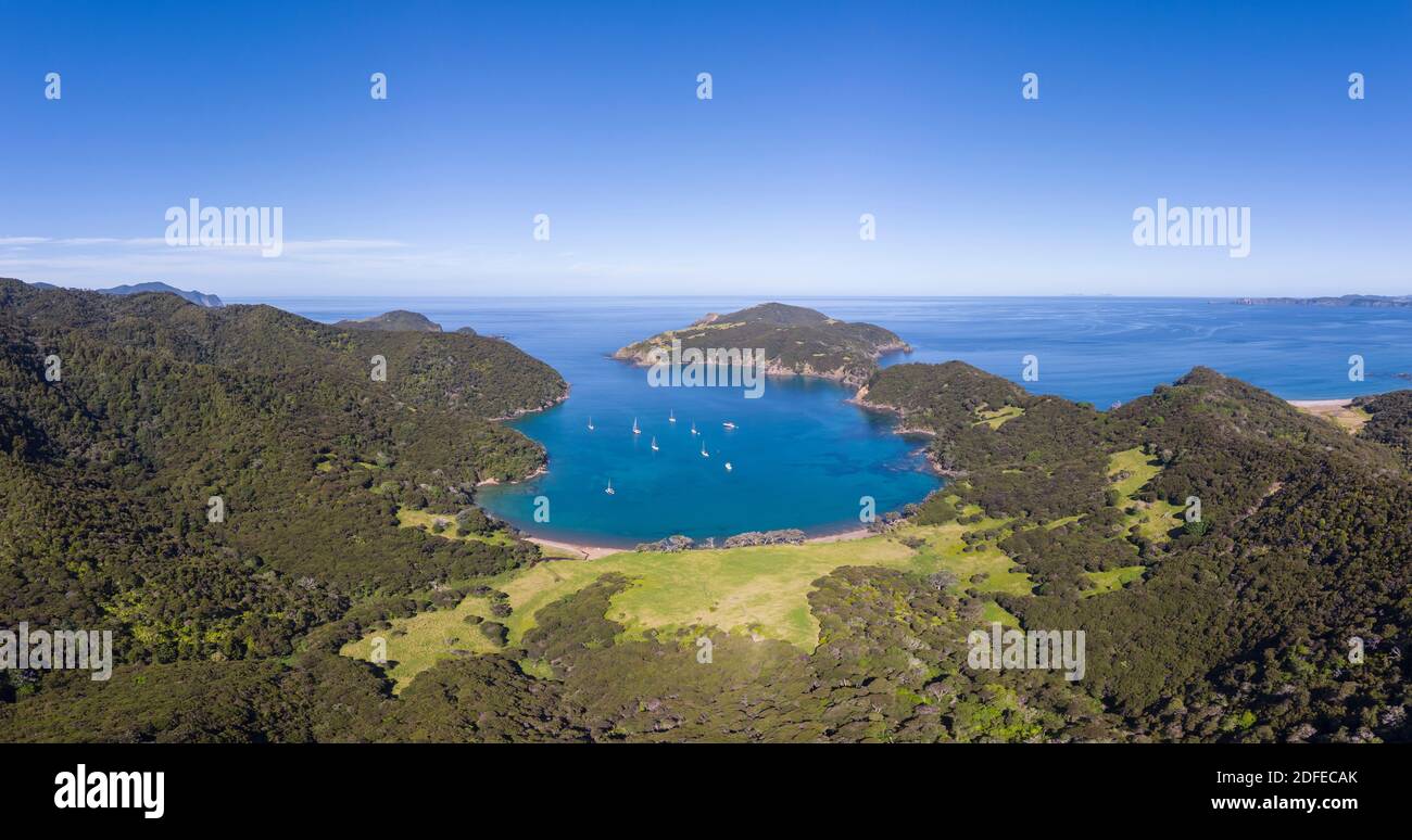 Panorama von Segelbooten in Whangamumu Hafen Stockfoto