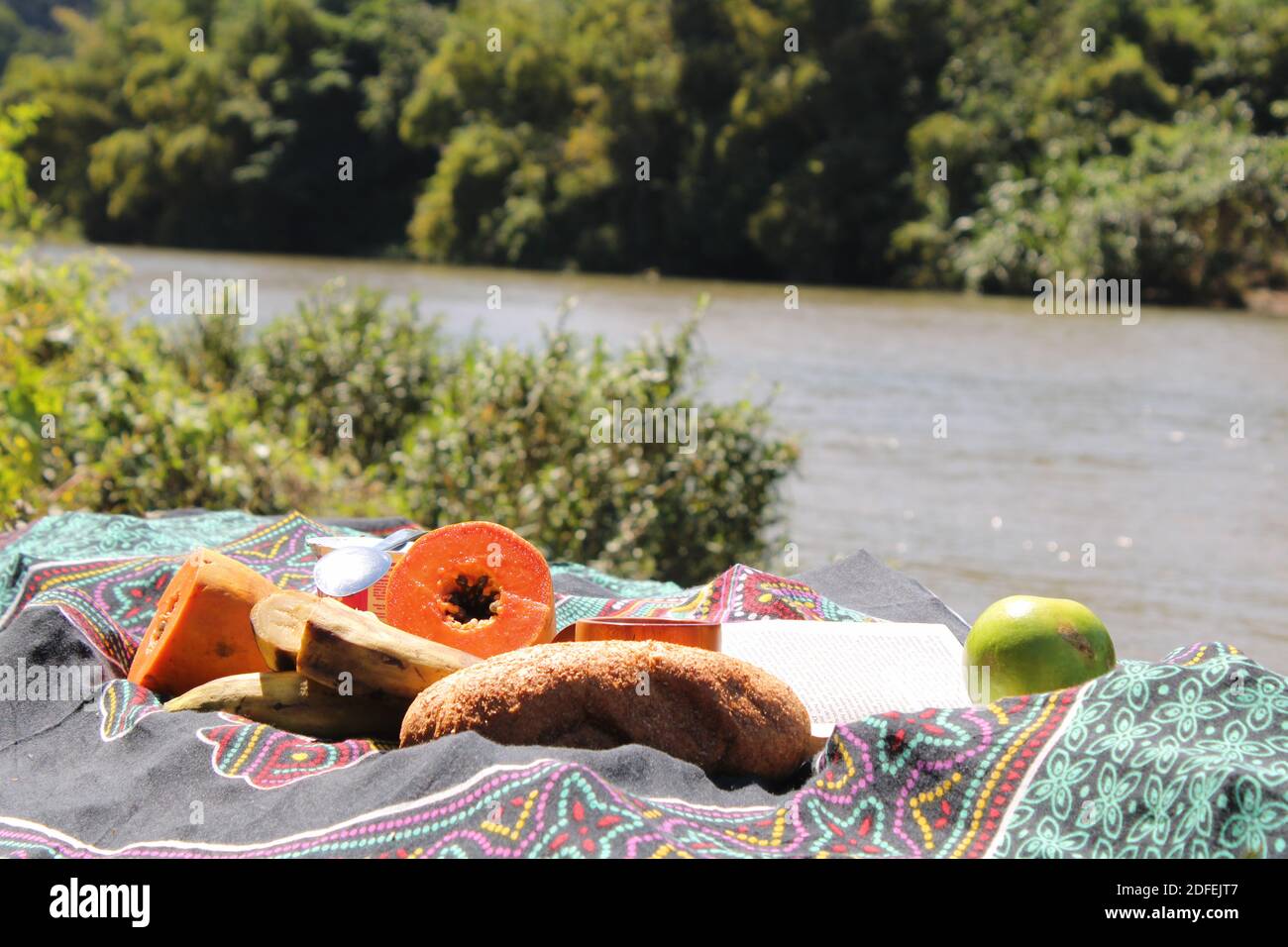 Picknick mit Früchten mit den großen Vibes des Flusses. Stockfoto