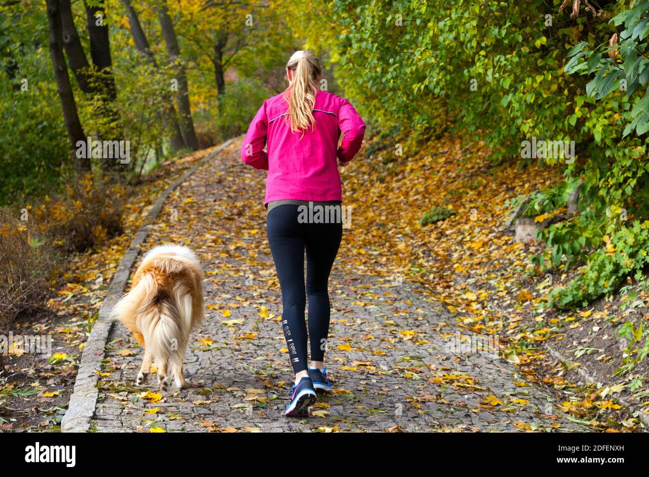 Frau, die mit einem Hund im Herbstpark davonläuft, gesunder Lebensstil Rückansicht Stockfoto