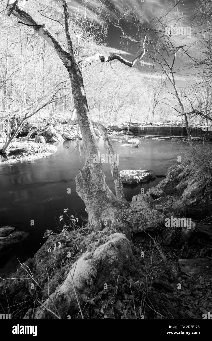 Tiefes Porträt der Umgebung von Anderson Falls bei Newbern, IN. Schwarz-weißes IR-Licht. Stockfoto