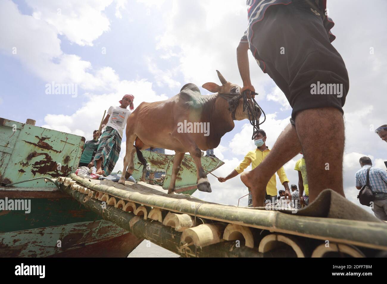 Händler aus Bangladesch laden ein Schiff mit Opfertieren für den kommenden Eid al-Adha auf dem Viehmarkt in Dhaka, Bangladesch, 25. Juli 2020. Foto von Suvra Kanti das/ABACAPRESS.COM Stockfoto