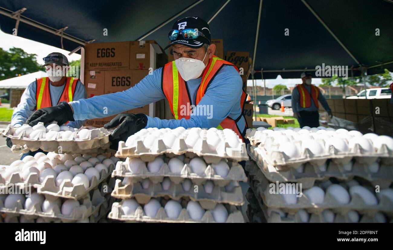 KEIN FILM, KEIN VIDEO, KEIN Fernsehen, KEINE DOKUMENTATION - EIN Mitarbeiter der Stadt Hialeah stapelt Eierkartons während einer Drive-Thru-Lebensmittelverteilung im Goodlet Park, 4200 West 8th Avenue in Hialeah, FL, USA, während die Coronavirus-Pandemie am Mittwoch, 29. Juli 2020, weiter anhält. Foto von David Santiago/Miami Herald/TNS/ABACAPRESS.COM Stockfoto