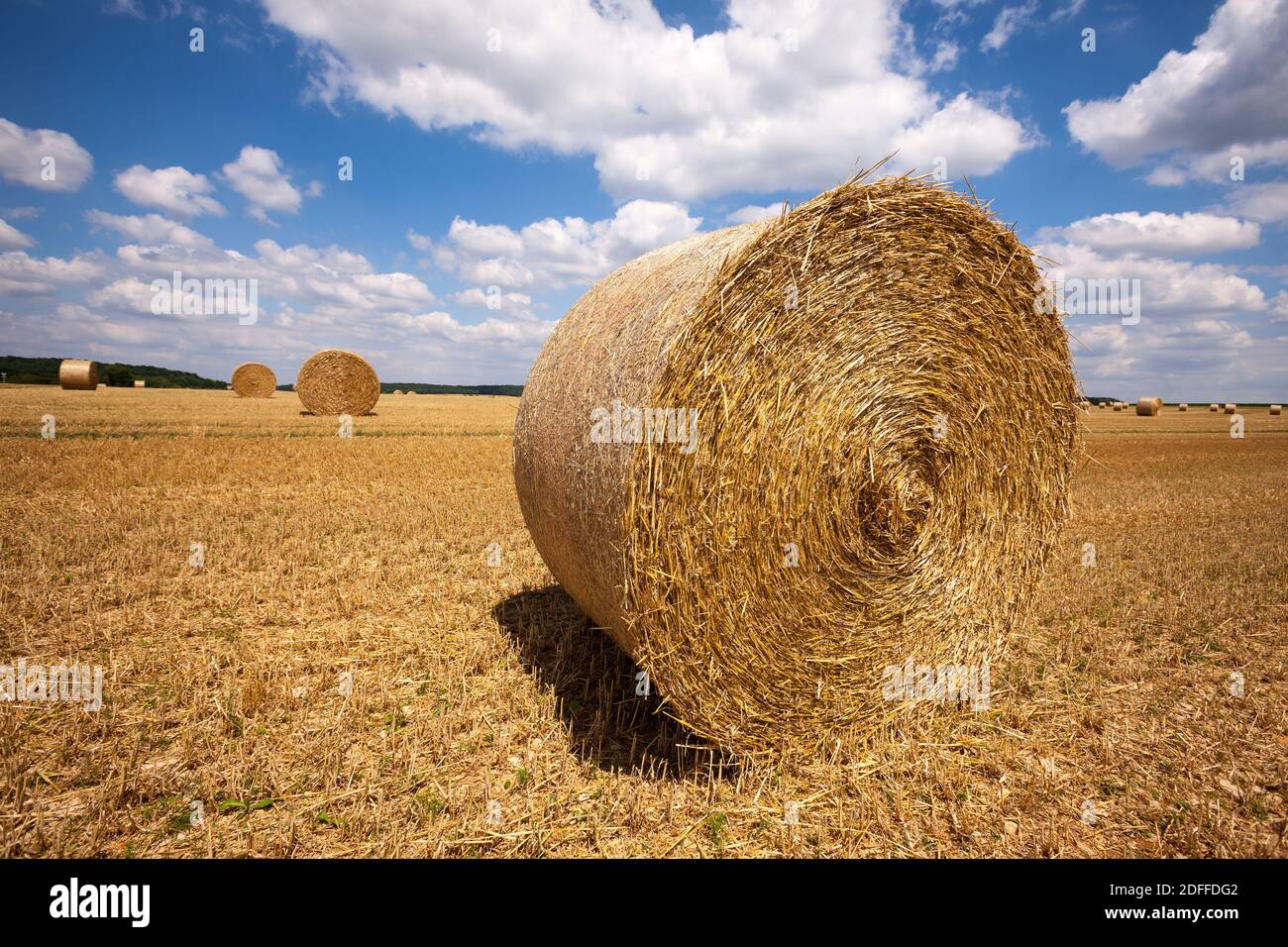 Strohhäystacks auf dem Getreidefeld nach der Ernte. Frankreich. Europa. Stockfoto