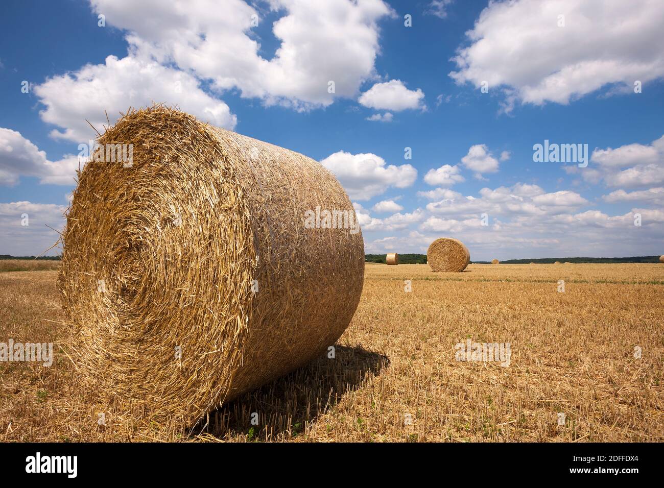 Strohhäystacks auf dem Getreidefeld nach der Ernte. Frankreich. Europa. Stockfoto
