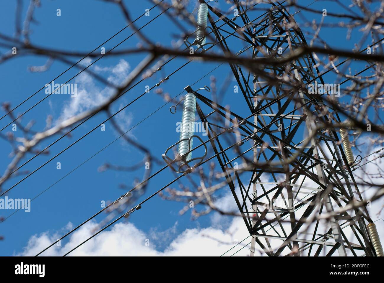 400KV Stromleitung, L2 Pylon und Glasisolatoren durch Baumzweige gesehen Stockfoto