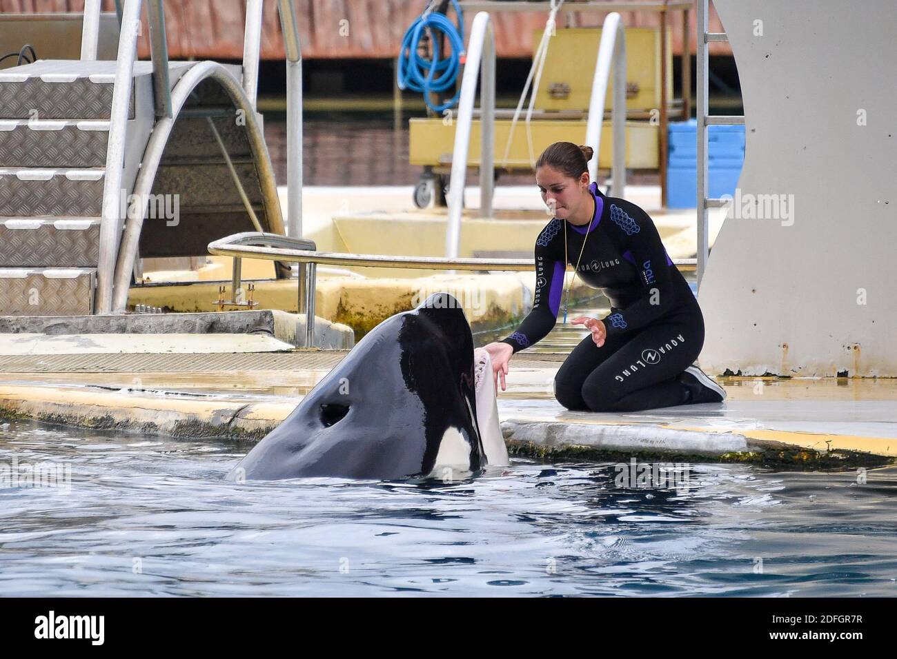 Das Marineland ist ein Themenpark in Antibes (Alpes-Maritimes), an der französischen Riviera. Auf 26 Hektar umfasst es einen Meereszoologischen Park mit Delfinarium, einen Wasserpark (Aquasplash), einen Kinderspielplatz (Kid's Island), einen Minigolf (Aventure Golf) und ein drei-Sterne-Hotel (Marineland Resort). Es ist Eigentum des spanischen multinationalen Unternehmens Parques Reunidos, dessen Mehrheitsaktionär der britische Investmentfonds Arle Capital Partners ist. Es ist eines der vier französischen Delfinarien und eines der beiden europäischen Delfinarien, die Orcas präsentieren. Mit 1.2 Millionen Besuchern im Jahr 2014, ist es die meisten Stockfoto