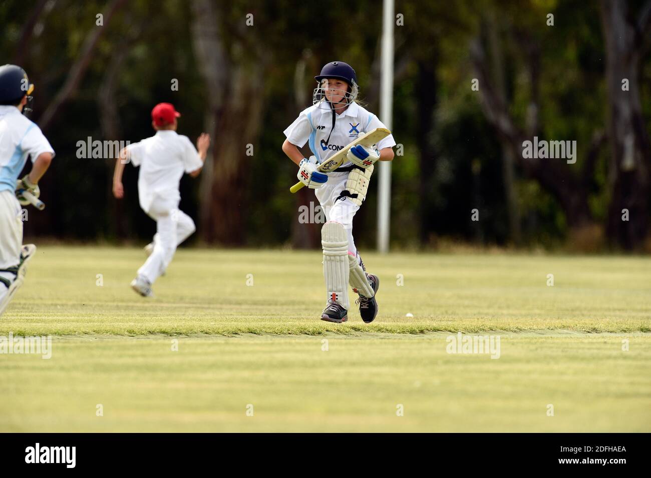 Die Benalla Bushrangers unter 12 Jahren nehmen an den Wangaratta Colts in Benalla Teil. Australien Stockfoto