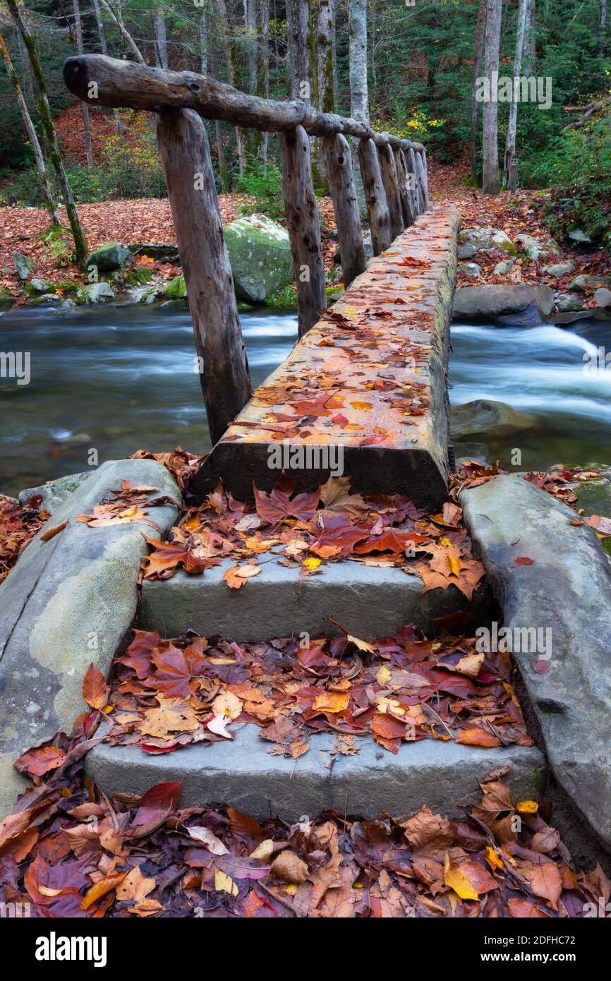 Mit Herbstblättern bedeckt, überquert diese Blockbrücke den Middle Prong des Little River im Great Smoky Mountains National Park, Tennessee, USA Stockfoto